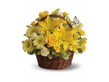 Yellow basket