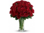 Red roses with a vase