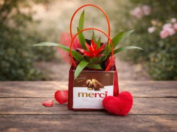 Guzm&aacute;nia &eacute;s Merci desszert