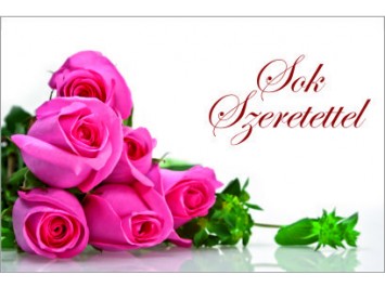 Aj&aacute;nd&eacute;kk&iacute;s&eacute;rő 07