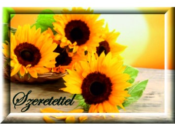 Aj&aacute;nd&eacute;kk&iacute;s&eacute;rő 09