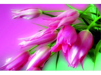 Aj&aacute;nd&eacute;kk&iacute;s&eacute;rő 20