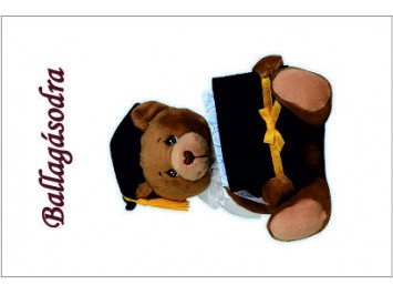 Aj&aacute;nd&eacute;kk&iacute;s&eacute;rő 21