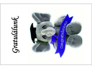 Aj&aacute;nd&eacute;kk&iacute;s&eacute;rő 22