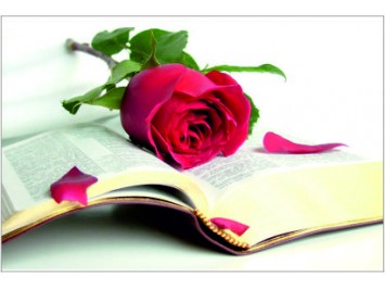 Aj&aacute;nd&eacute;kk&iacute;s&eacute;rő 23