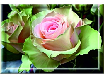 Aj&aacute;nd&eacute;kk&iacute;s&eacute;rő 26