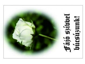 Aj&aacute;nd&eacute;kk&iacute;s&eacute;rő 30